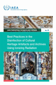 Best Practices in the Disinfection of Cultural Heritage Artefacts and Archives Using Ionizing Radiation