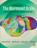 Marmoset Brain in Stereotaxic Coordinates