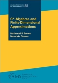 $\textrm {C}^*$-Algebras and Finite-Dimensional Approximations