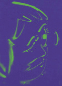 Hoda Kashiha