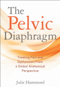 Pelvic Diaphragm