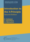 Introduction to the H-Principle