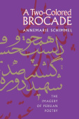 Two-Colored Brocade