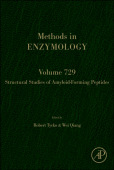 Structural Study of Amyloid-Ăź