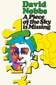 Piece of the Sky is Missing