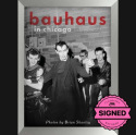 Bauhaus In Chicago
