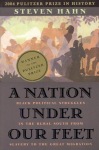 Nation under Our Feet