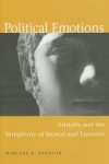 Political Emotions