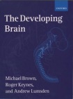 Developing Brain