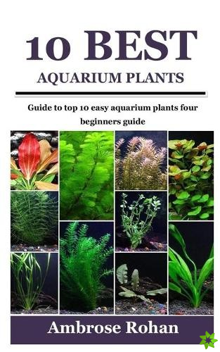 10 Best Aquarium Plants