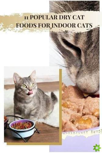 11 Popular Dry Cat Foods for Indoor Cats