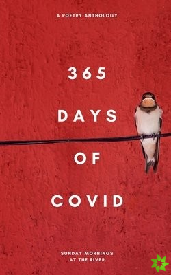365 Days of Covid