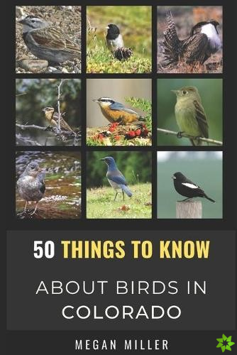 50 Things to Know About Birds in Colorado