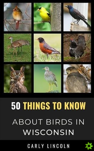 50 Things to Know About Birds in Wisconsin