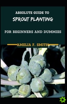 Absolute Guide To Sprout Planting For Beginners And Dummies