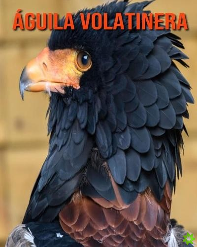 Aguila volatinera