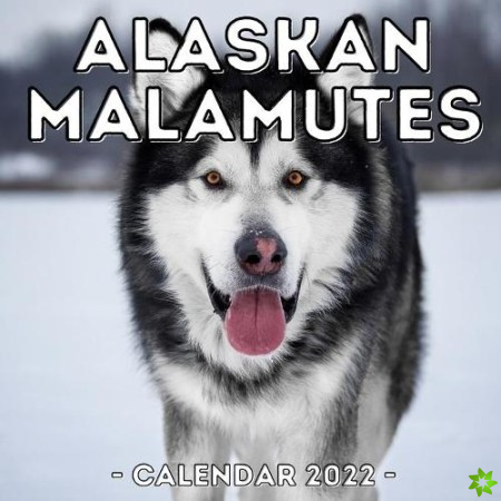 Alaskan Malamutes Calendar 2022
