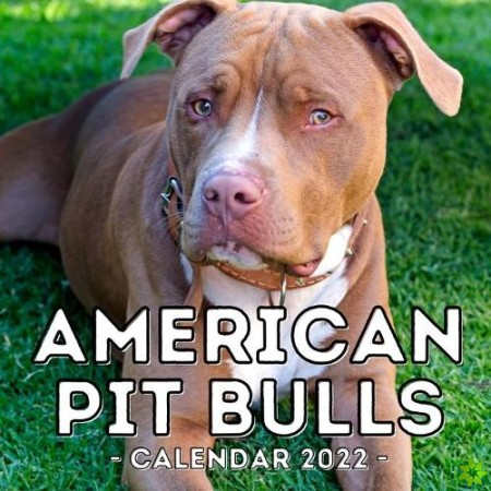 American Pit Bulls Calendar 2022