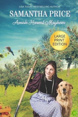 Amish Harvest Mayhem LARGE PRINT