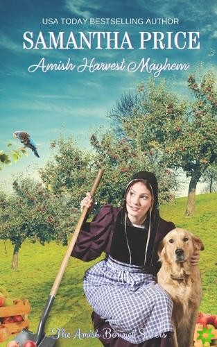 Amish Harvest Mayhem