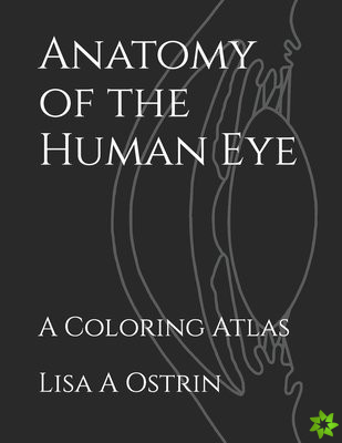 Anatomy of the Human Eye