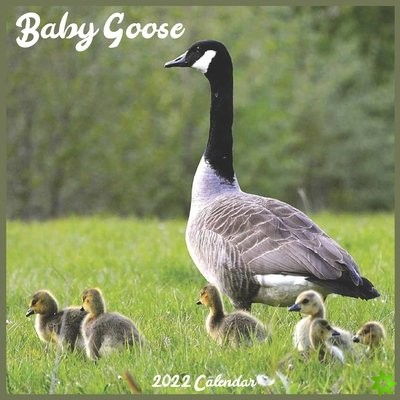 Baby Goose Calendar 2022