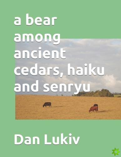 bear among ancient cedars, haiku and senryu