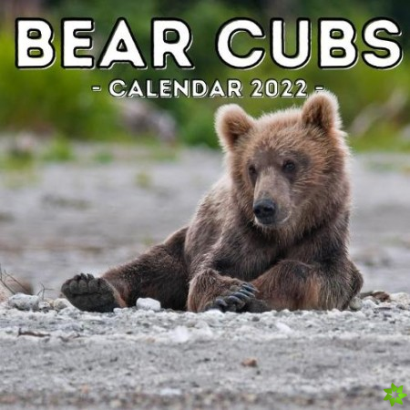 Bear Cubs Calendar 2022