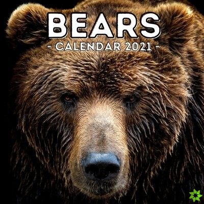 Bears Calendar 2021