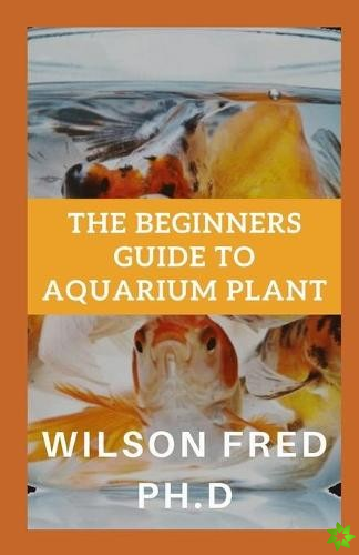 Beginners Guide To Aquarium Plant