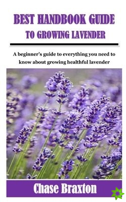 Best Handbook Guide to Growing Lavender