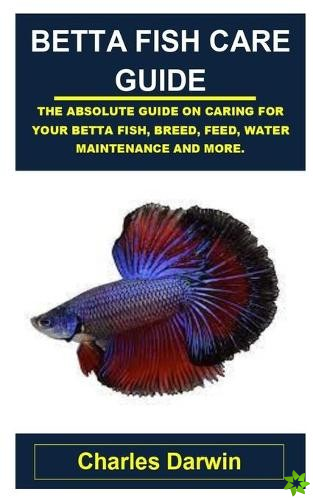 Betta Fish Care Guide
