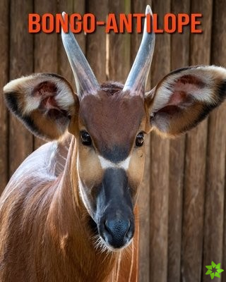 Bongo-Antilope