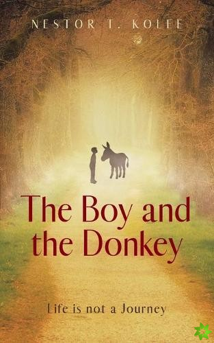 Boy and the Donkey