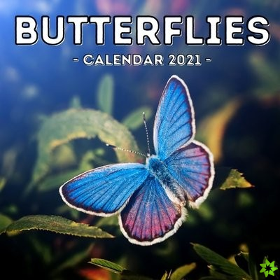 Butterflies Calendar 2021