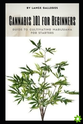 Cannabis 101 for Beginners