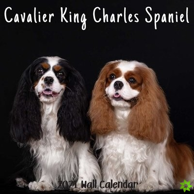 Cavalier King Charles Spaniel 2021 Wall Calendar
