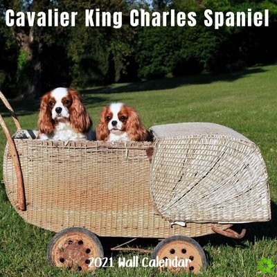 Cavalier King Charles Spaniel 2021 Wall Calendar