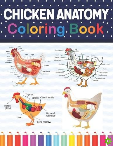Chicken Anatomy Coloring Book