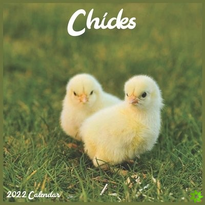 Chicks 2022 Calendar