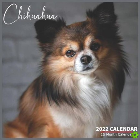 Chihuahua Calendar 2022