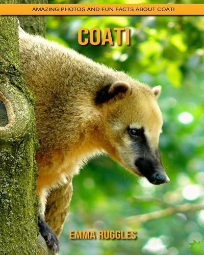 Coati
