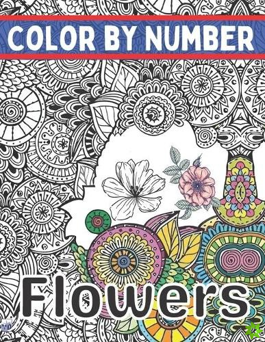 Color By Number Flowers