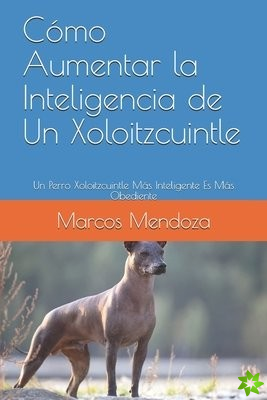 Como Aumentar la Inteligencia de Un Xoloitzcuintle