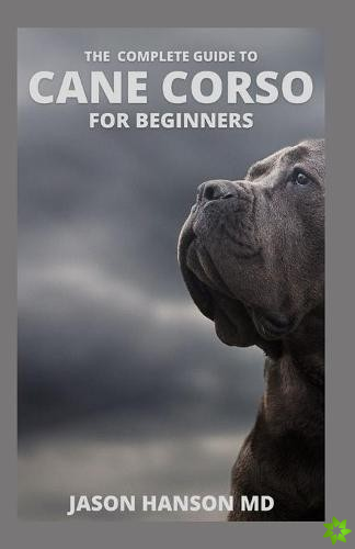 Complete Guide to Cane Corso for Beginners