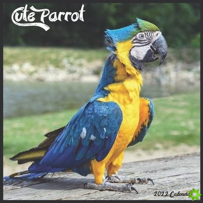 Cute Parrot 2022 Calendar