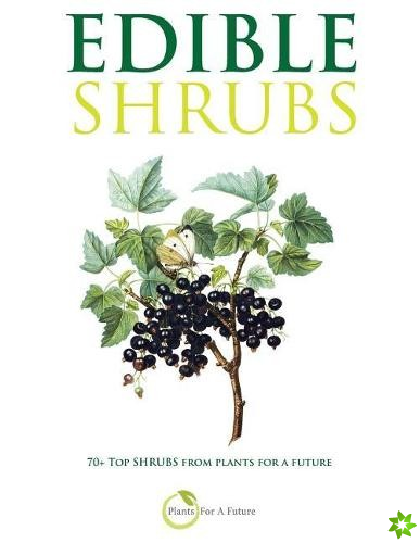 Edible Shrubs