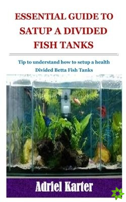 Essential Guide to Satup a Divided Betta Fish Tanks