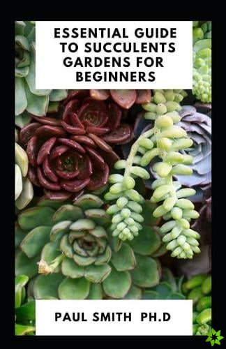 Essential Guide to Succulents Gardens for Beginners