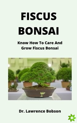 Fiscus Bonsai